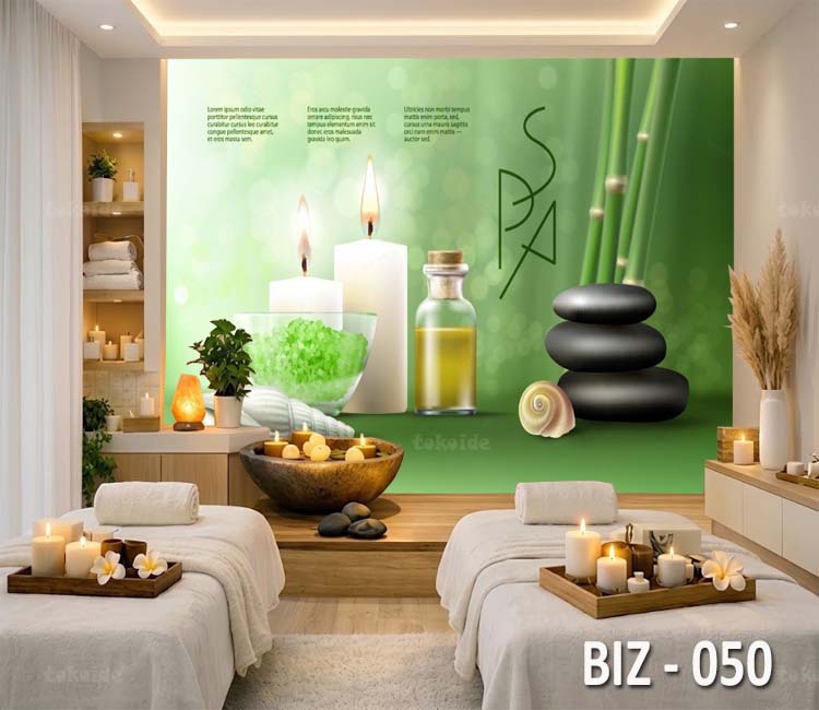 BIZ 050