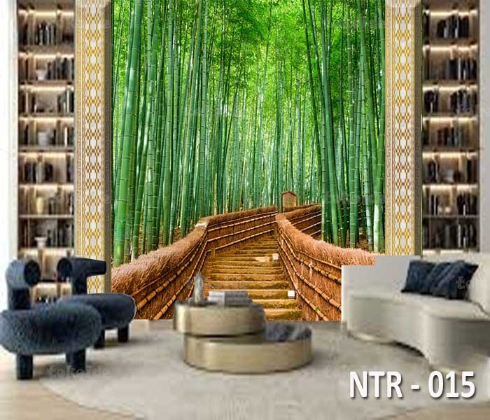 NTR 015