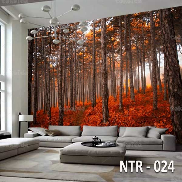 NTR 024