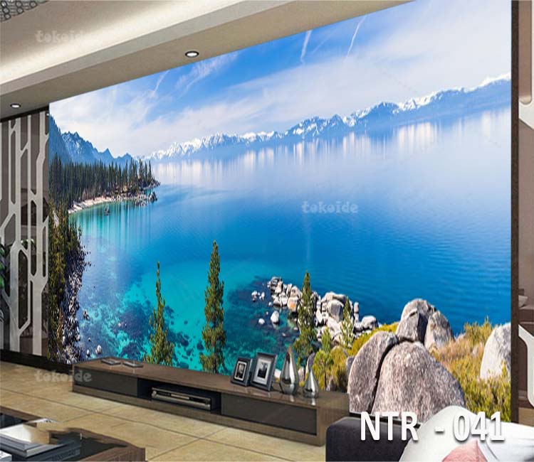 NTR 041