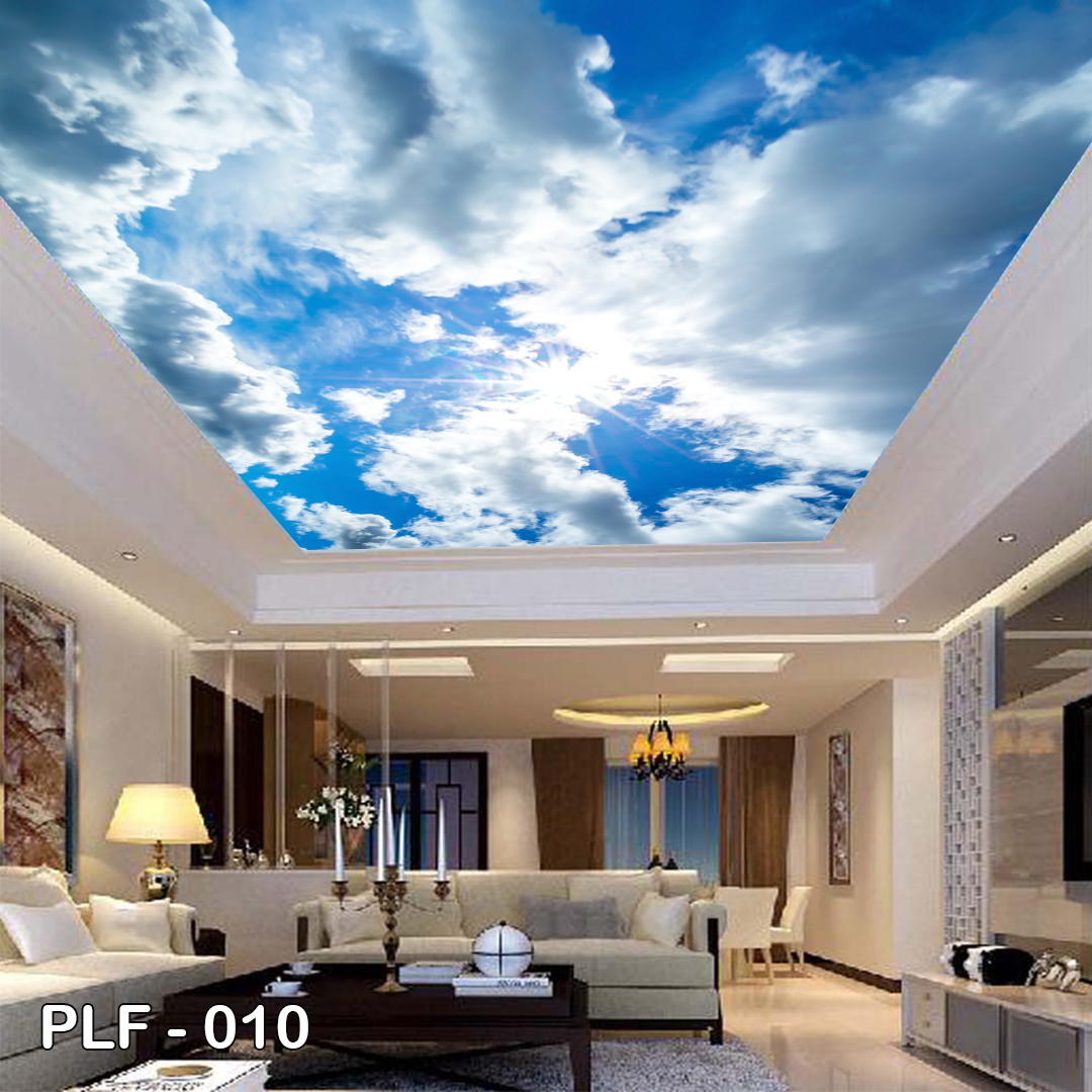 PLF 010