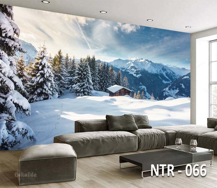 NTR 066