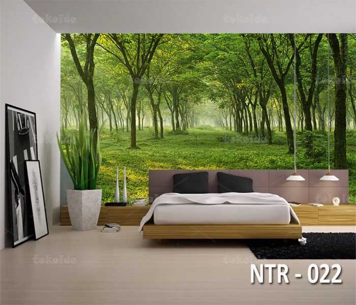 NTR 022