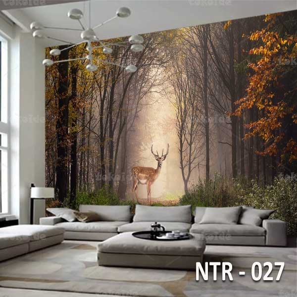 NTR 027