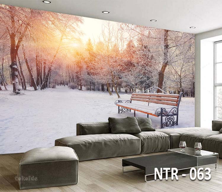 NTR 063