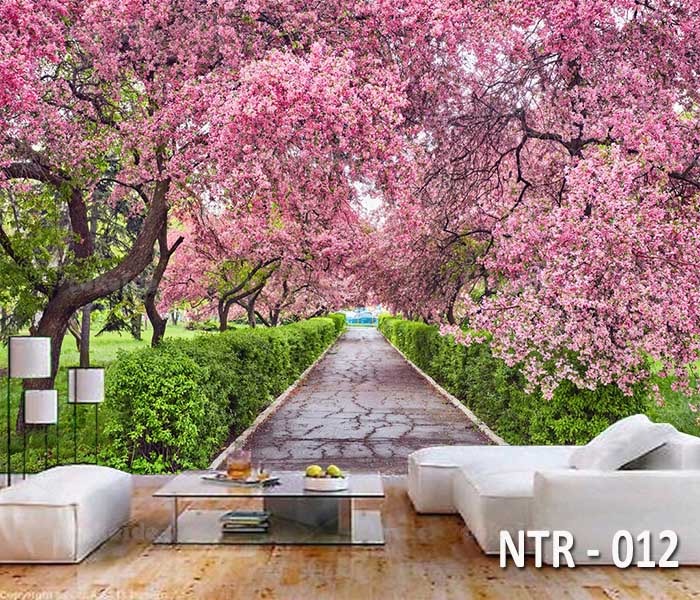 NTR 012