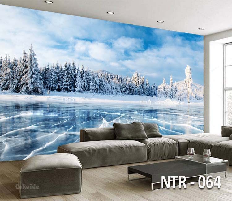 NTR 064