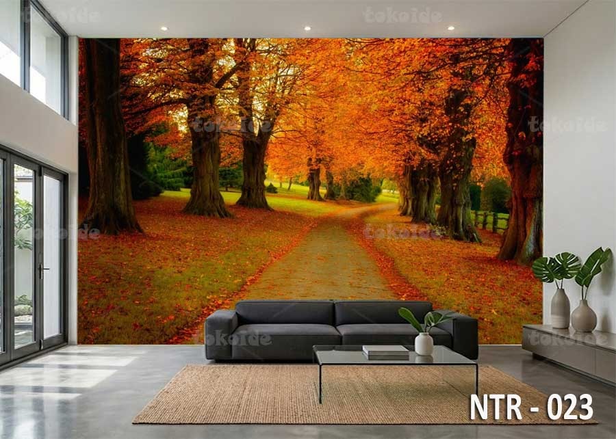 NTR 023