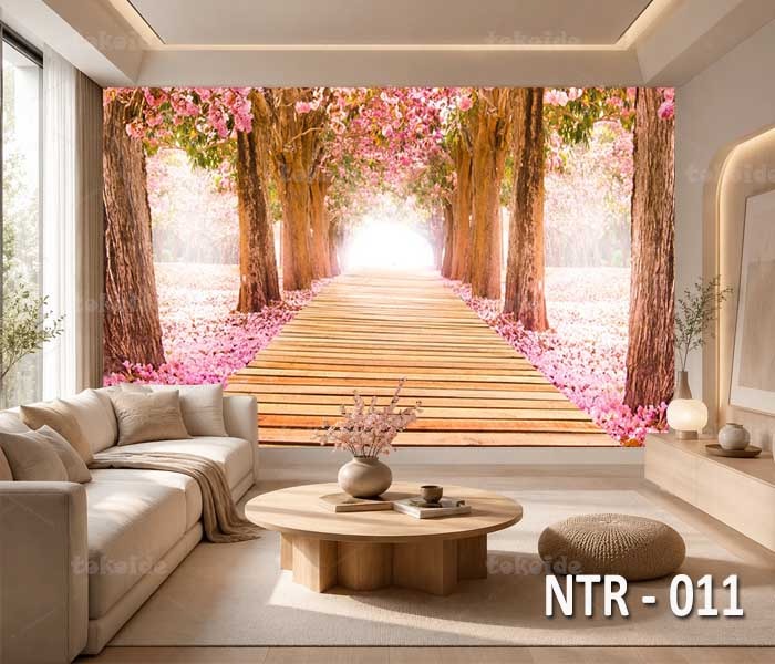 NTR 011