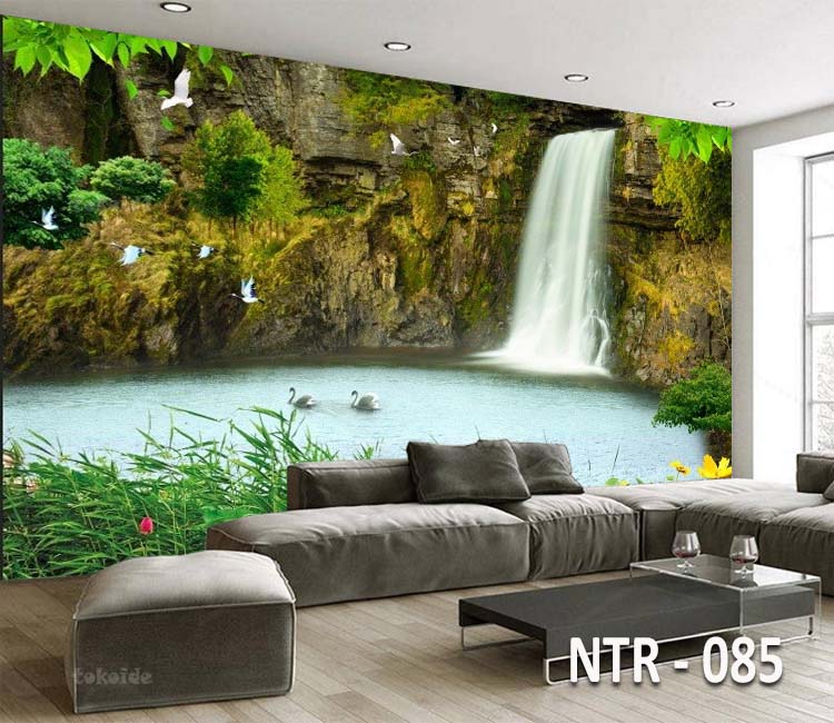 NTR 085