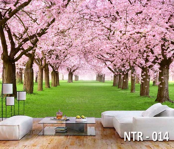NTR 014