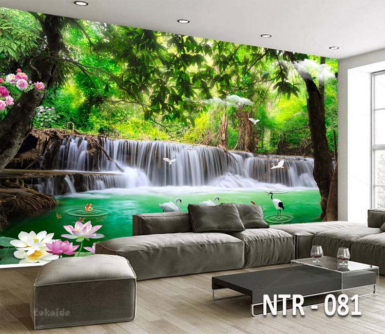 NTR 081