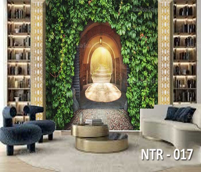 NTR 017