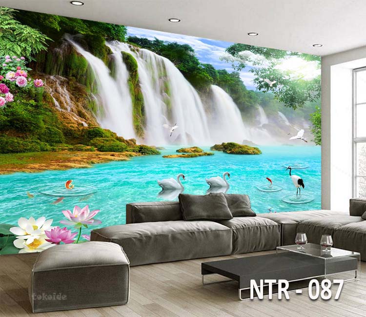 NTR 087