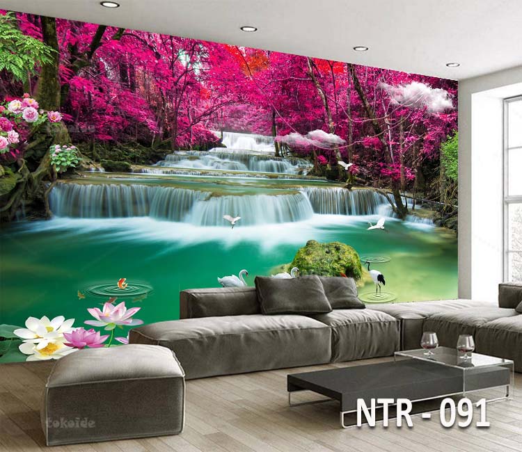 NTR 091