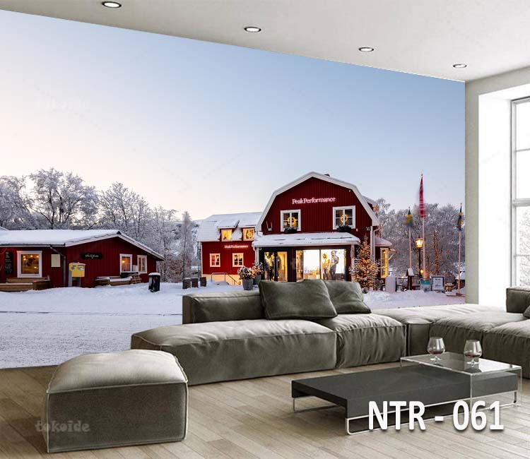 NTR 061