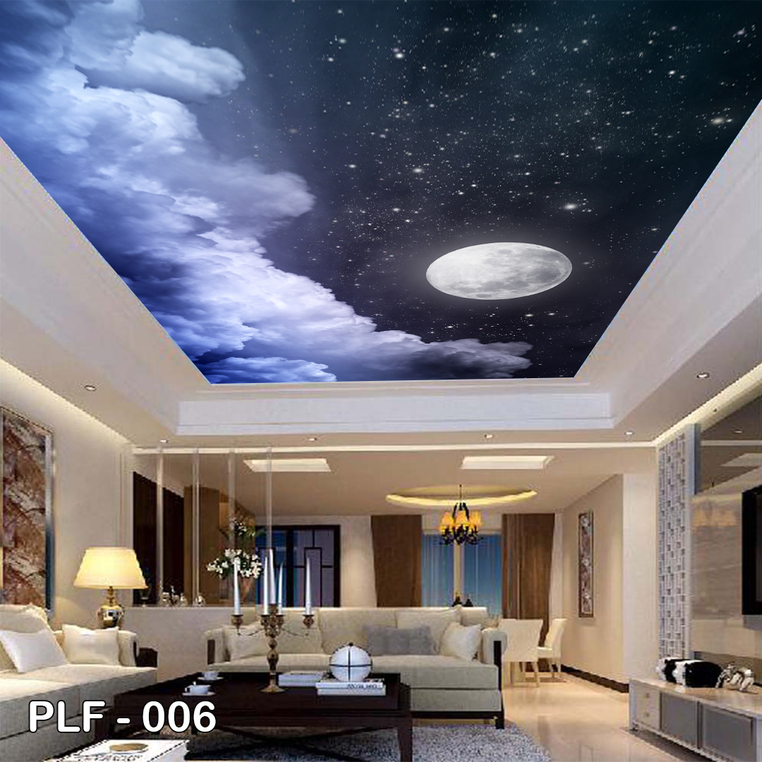 PLF 006