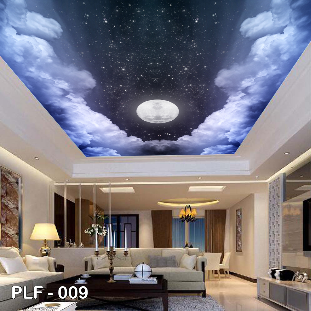 PLF 009