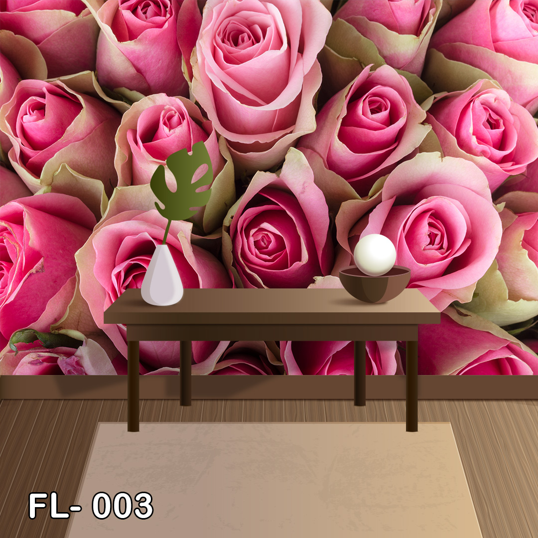 FL 003