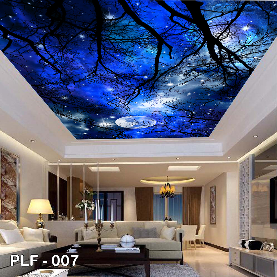 PLF 007