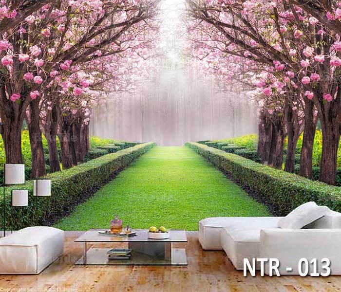 NTR 013
