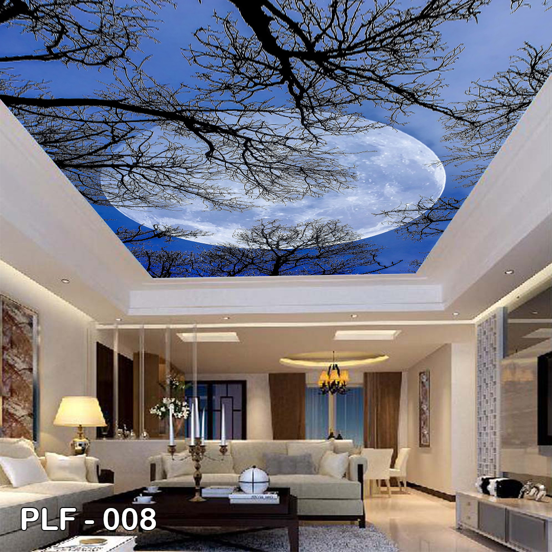 PLF 008