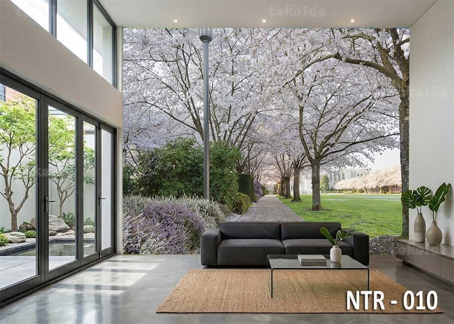 NTR 010